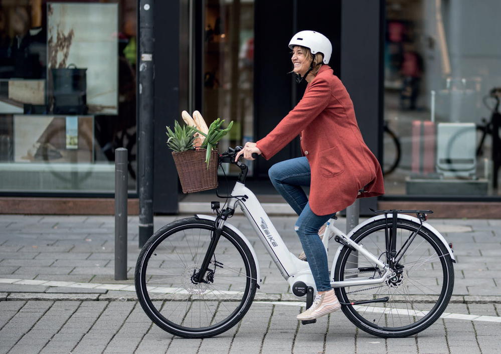 EBIKE Das Original CITY PRO Shimano Nexus EBIKE Das Original City-Pro