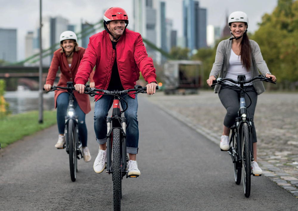 EBIKE Das Original TREKKING PRO Rohloff E14 EBIKE Das Original Trekking-Pro