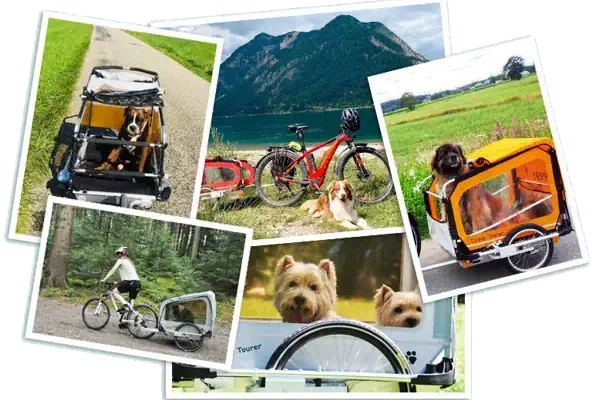 DoggyTourer Hundeanhaenger Fahrradanhaenger Fahrradfahren mit Genuss