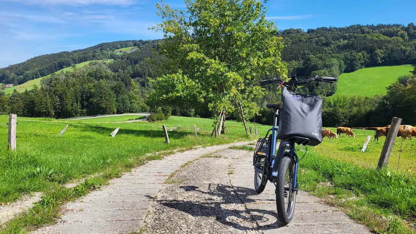 Fahrradtour_am_Chiemsee_ mit_iSY_XXL-R14_Kuhalm
