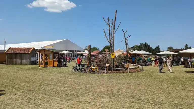Hessentag-Pfungstadt_iSY_E5-ZR-F_Oekomarkt_Insel