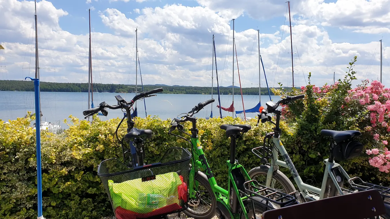 Steinberger See Seeblick