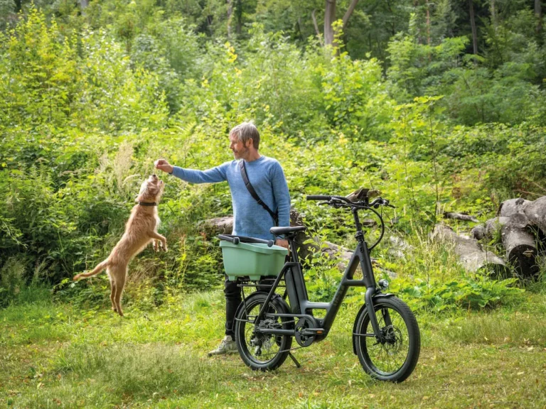 iSY Skyfly Carbonrad S10 UD mit Hund