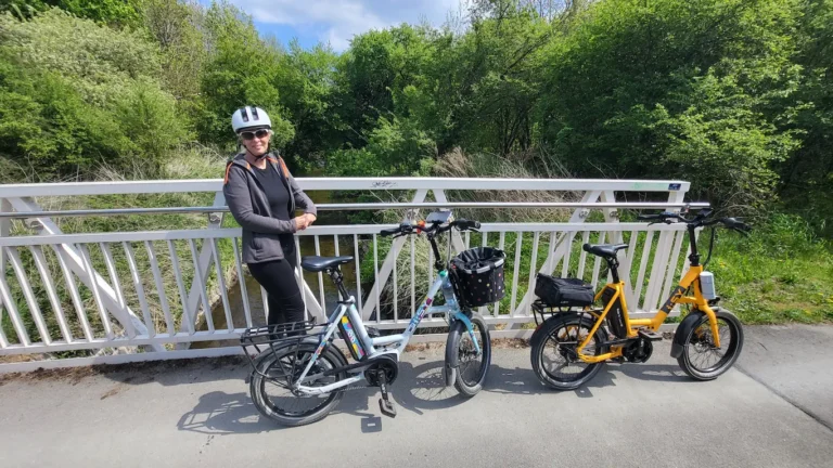 Darmstadt Darmbach Brücke