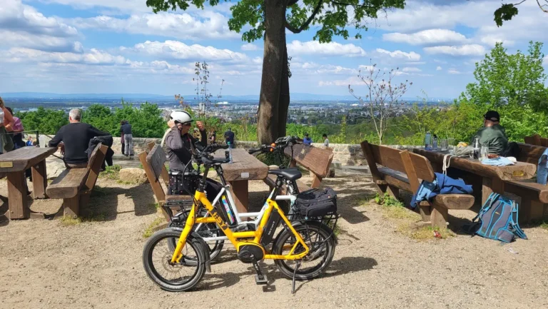 Darmstadt Ludwigshoehe mit Aussicht auf die Stadt