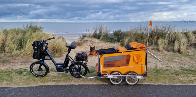Fahrradgeschichten mit iSY - leicht und lustig 34 iSY-XXL-N3-8-ZR-CX-Auto-Comfort_DoggyTourer-XL-4-Rad