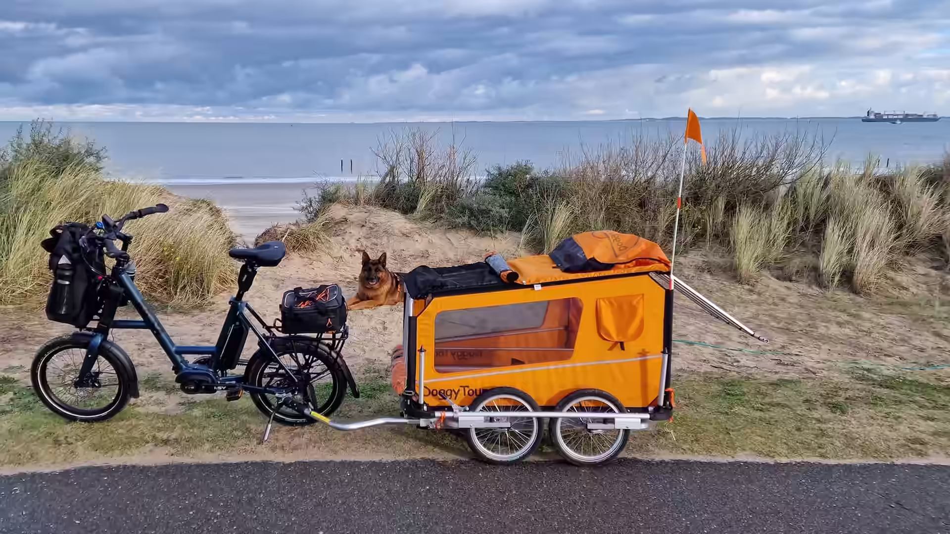 i:SY XXL N3.8 Auto Comfort mit Doggytourer XL Beethoven am Strand