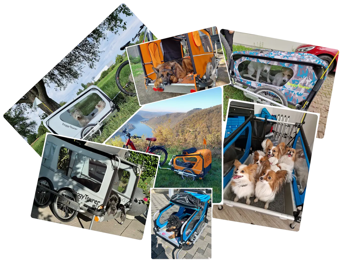 DoggyTourer Hundeanhänger im Einsatz