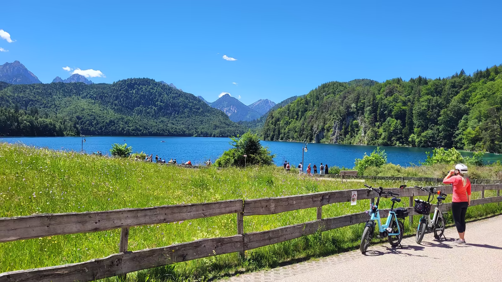 7-seen-2-schloesser-allgaeu-alpsee-panorama