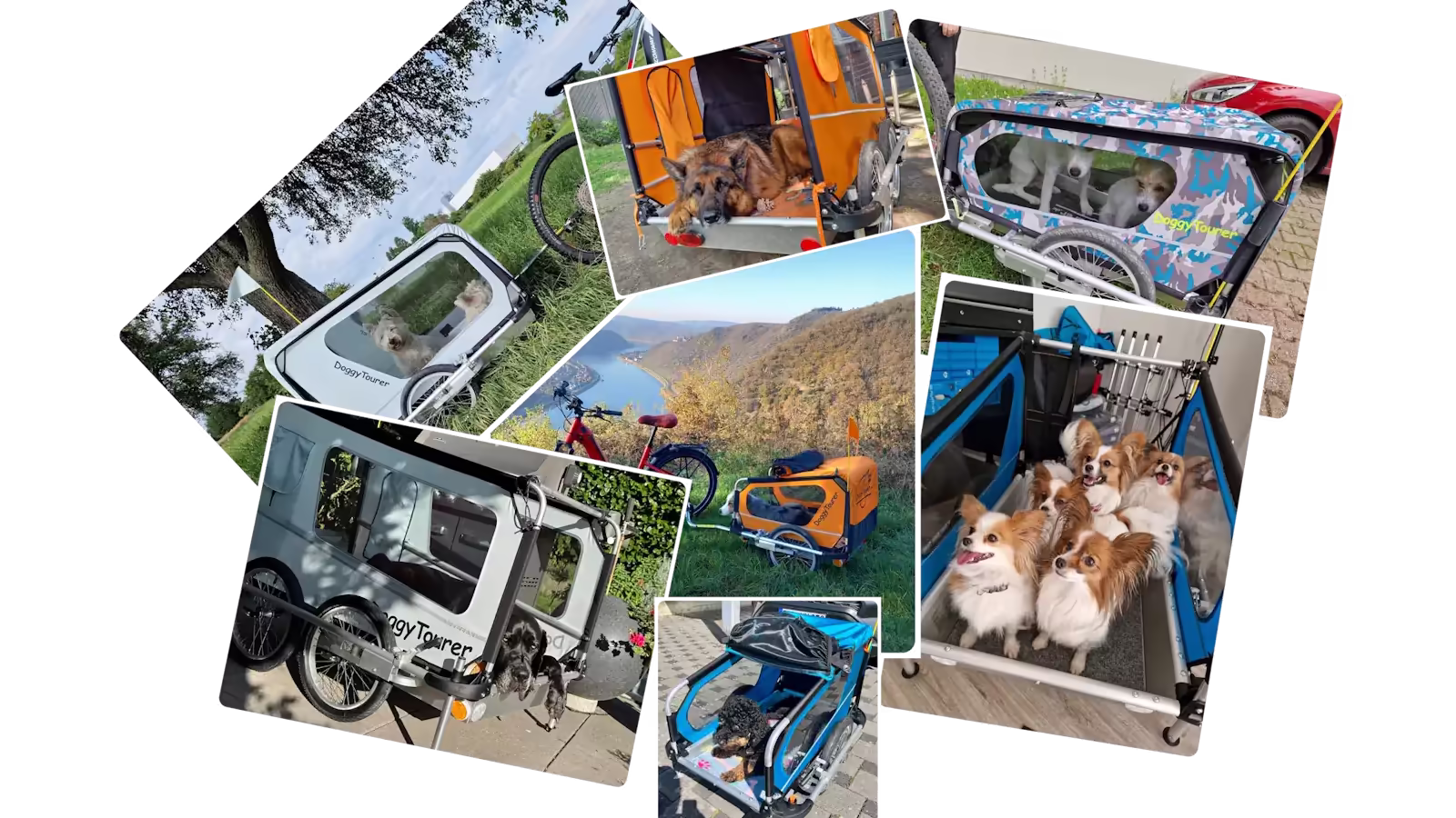 doggytourer-hundeanhaenger-stabil-giftfrei-bis-80kgdoggytourer-hundeanhaenger-stabil-giftfrei-bis-80kg