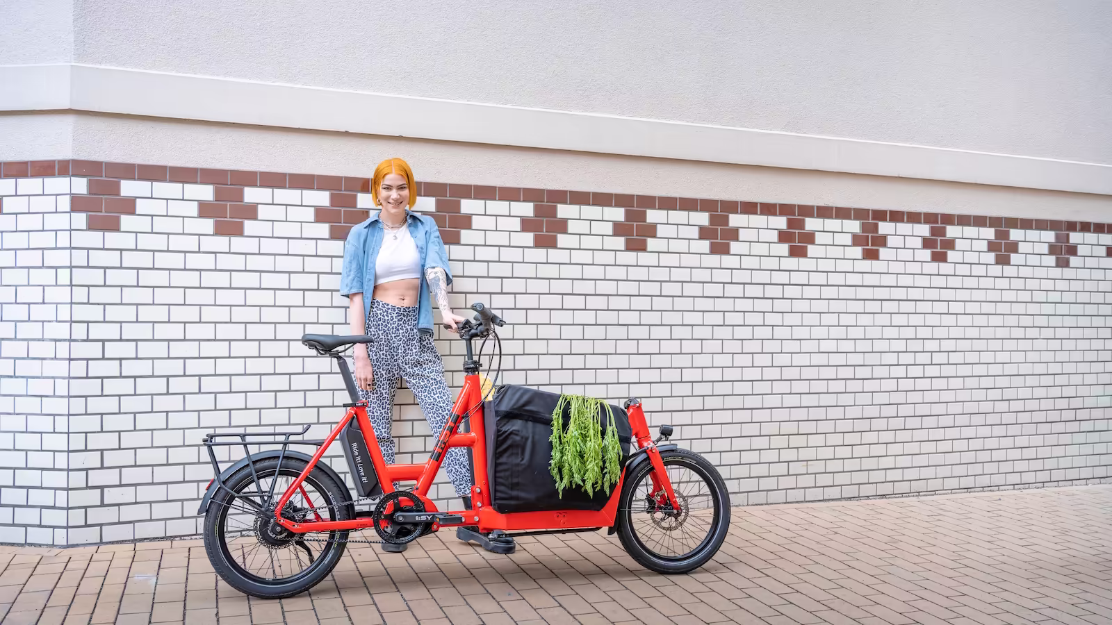 isy-cargo-n3-8-400-kompaktes-lastenrad-mit-butterfly-bag