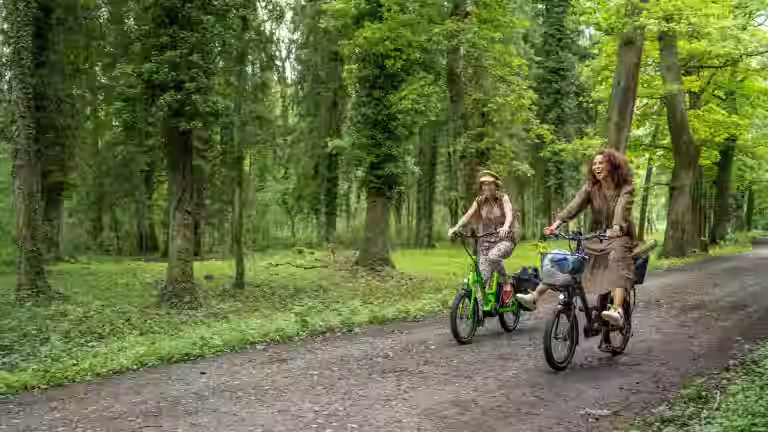 i:SY Mission mit Carla und Marlene auf dem Waldweg