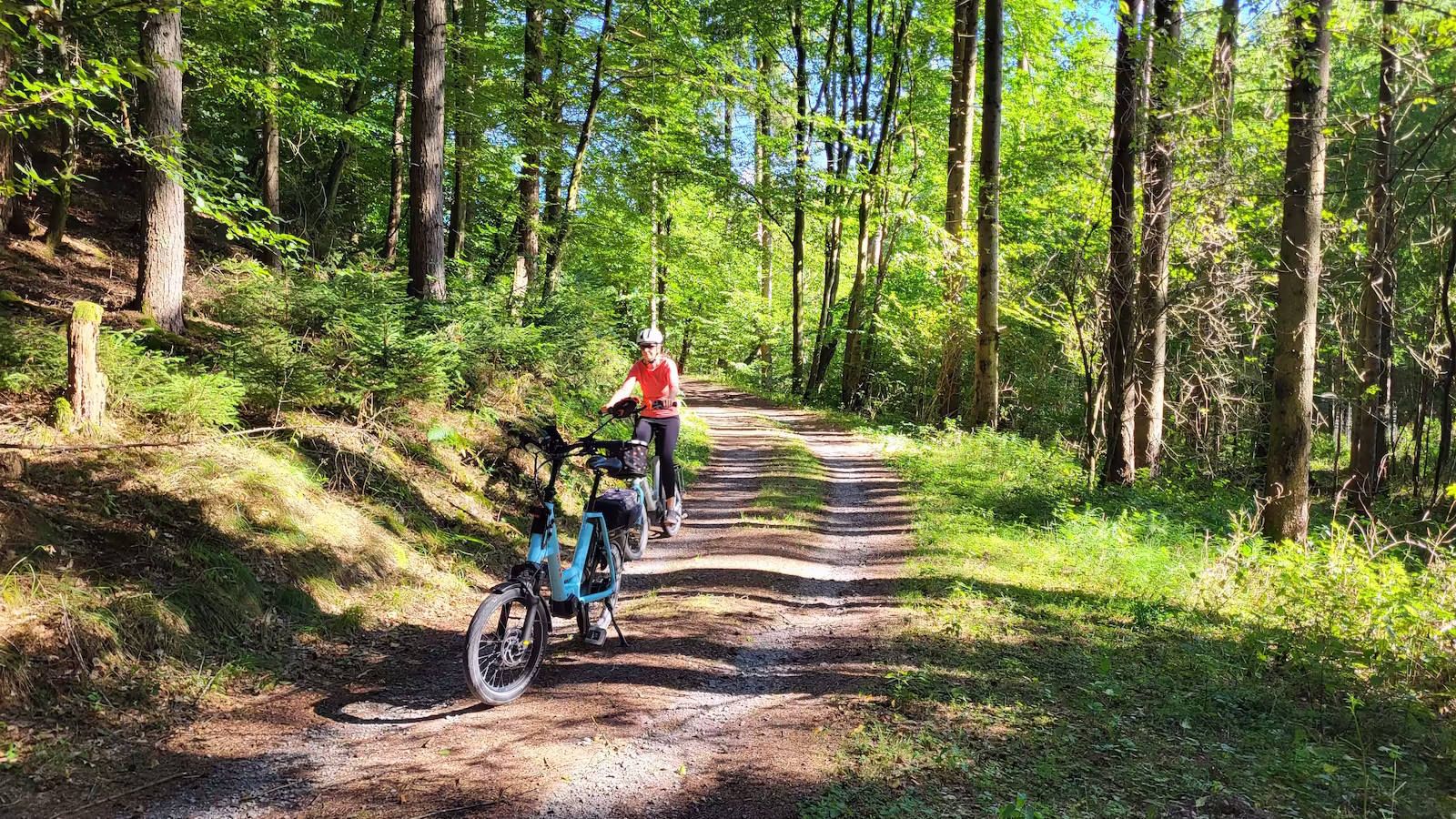 i:SY Tour Schloss Mespelbrunn durch den Wald im Spessart